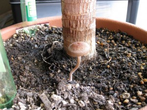img_0621_m