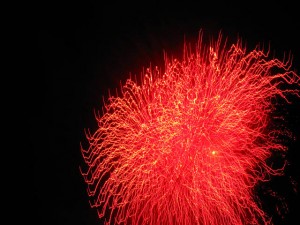 img_2537_m