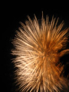 img_2543_m