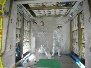 P-024-16542 P-024-16542