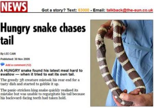 national_1206_018 national_1206_018