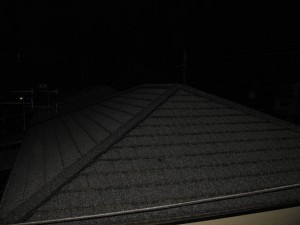 IMG_3130_m IMG_3130_m