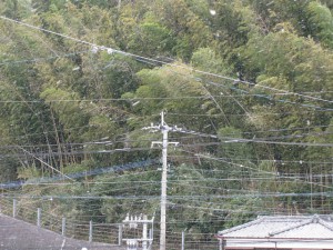 IMG_3242_m IMG_3242_m