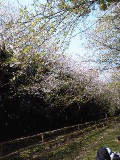 Image0351.jpg