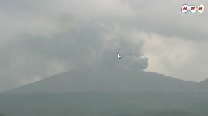 WS000004
