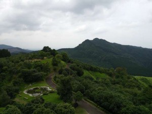 DSC_0303_m