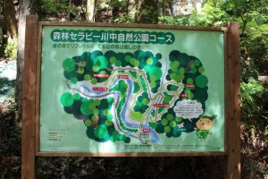 m_IMG_0327