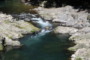 m_IMG_0335