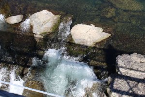 m_IMG_0336