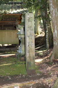 m_IMG_0343