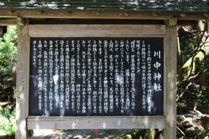 m_IMG_0358