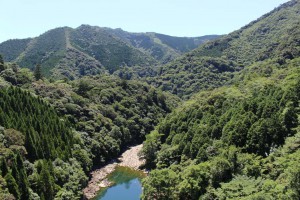 m_IMG_0385