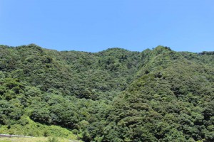 m_IMG_0406