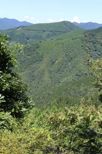m_IMG_0409
