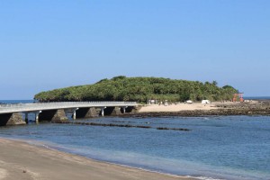 m_IMG_1019