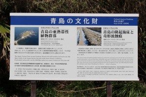 m_IMG_1051