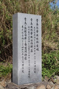 m_IMG_1053