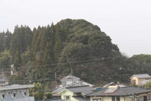 m_IMG_3144