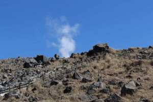 m_IMG_3382