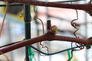 m_IMG_4282