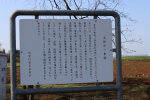 m_IMG_4305