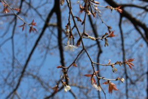 m_IMG_4313