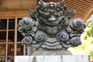 m_IMG_4335
