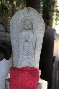 m_IMG_4352
