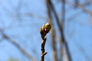 m_IMG_4369