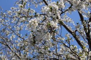 m_IMG_4382