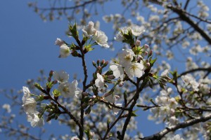 m_IMG_4390