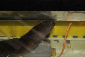 m_IMG_5085