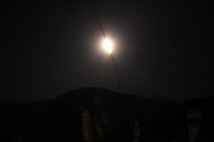 m_img_6968