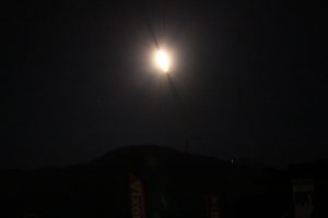 m_img_6971